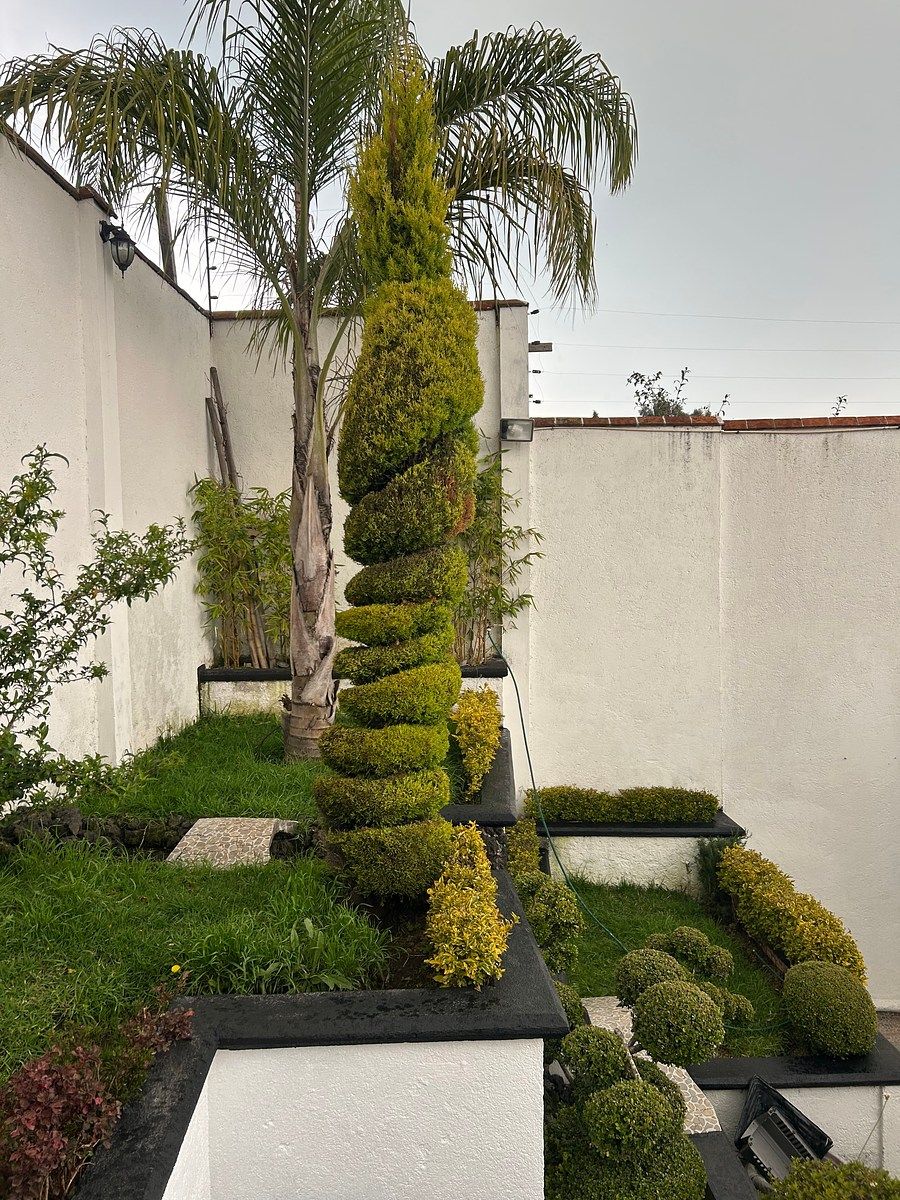Apartamento em Cuajimalpa, Cuajimalpa de Morelos, foto 15 de 23