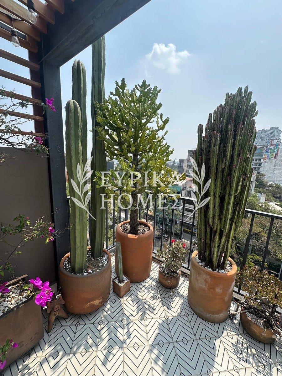 Departamento en Roma Norte, Cuauhtémoc, foto 19 de 24