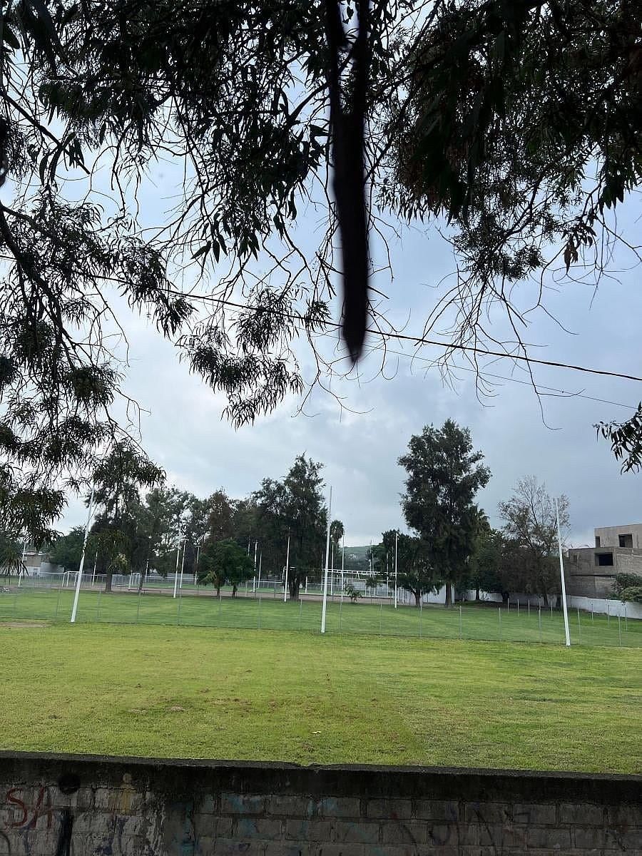 Lote em Lomas de San Agustin, Tlajomulco de Zúñiga, foto 6 de 8