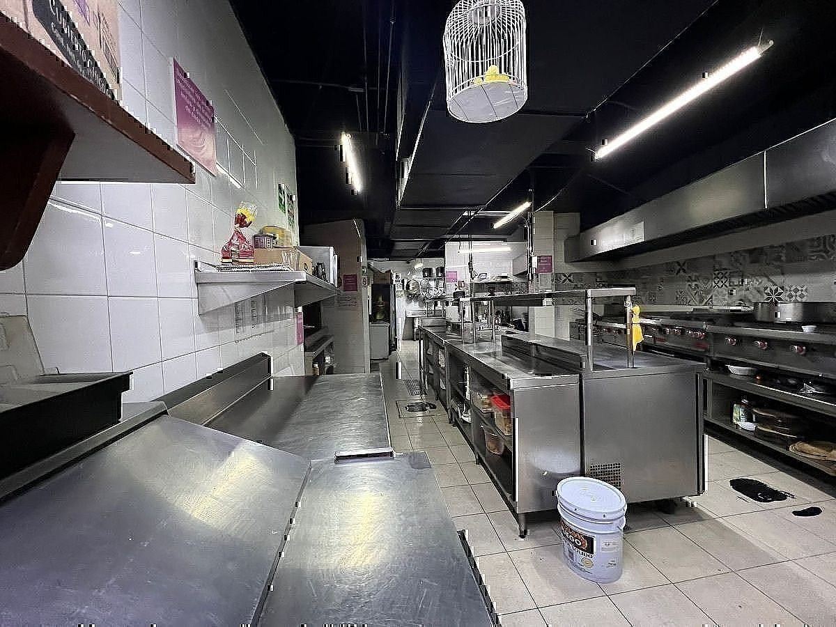 Local comercial en San Ángel, Álvaro Obregón, foto 10 de 17