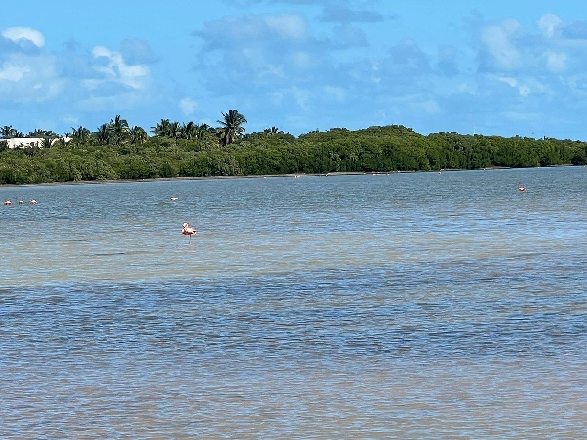 Lot in Chabihau, Yobaín, photo 2 of 7