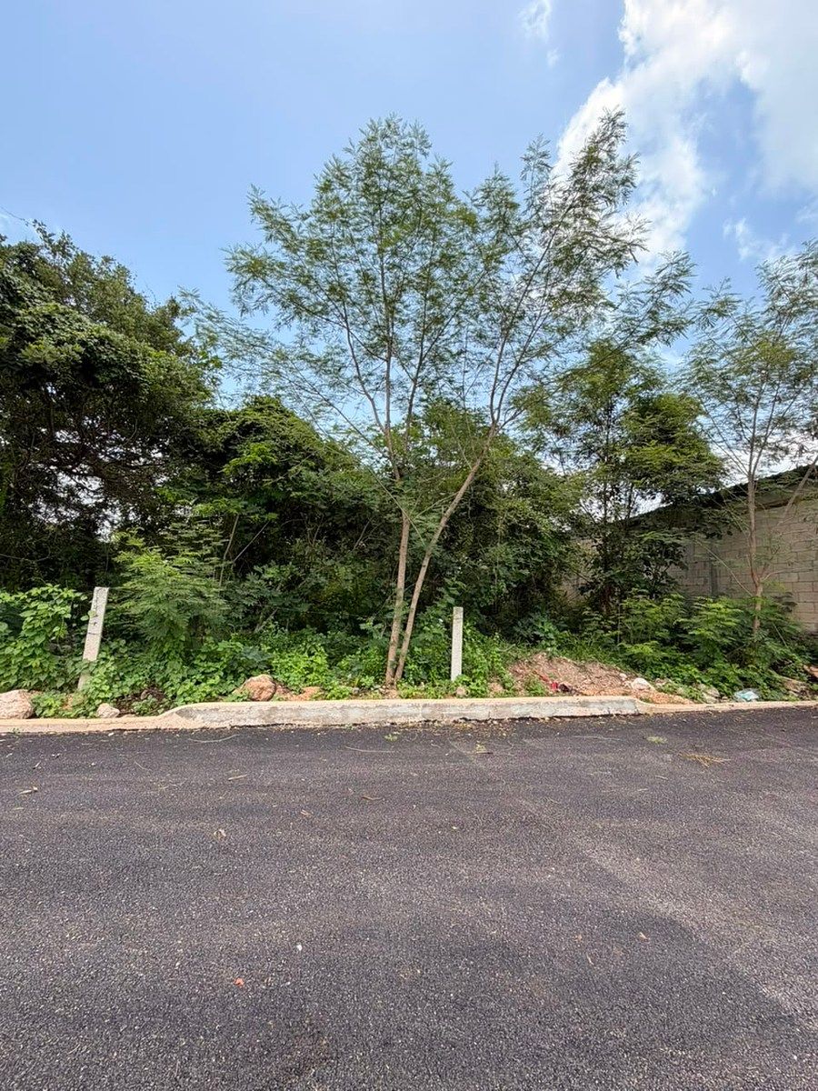 Terreno en Los Héroes, Mérida, foto 2 de 4