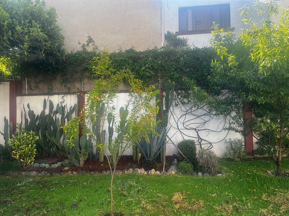 Lote em San Angel, Álvaro Obregón, foto 7 de 9