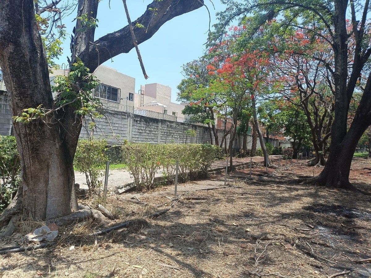 Lote em San Francisco, Emiliano Zapata, foto 8 de 11