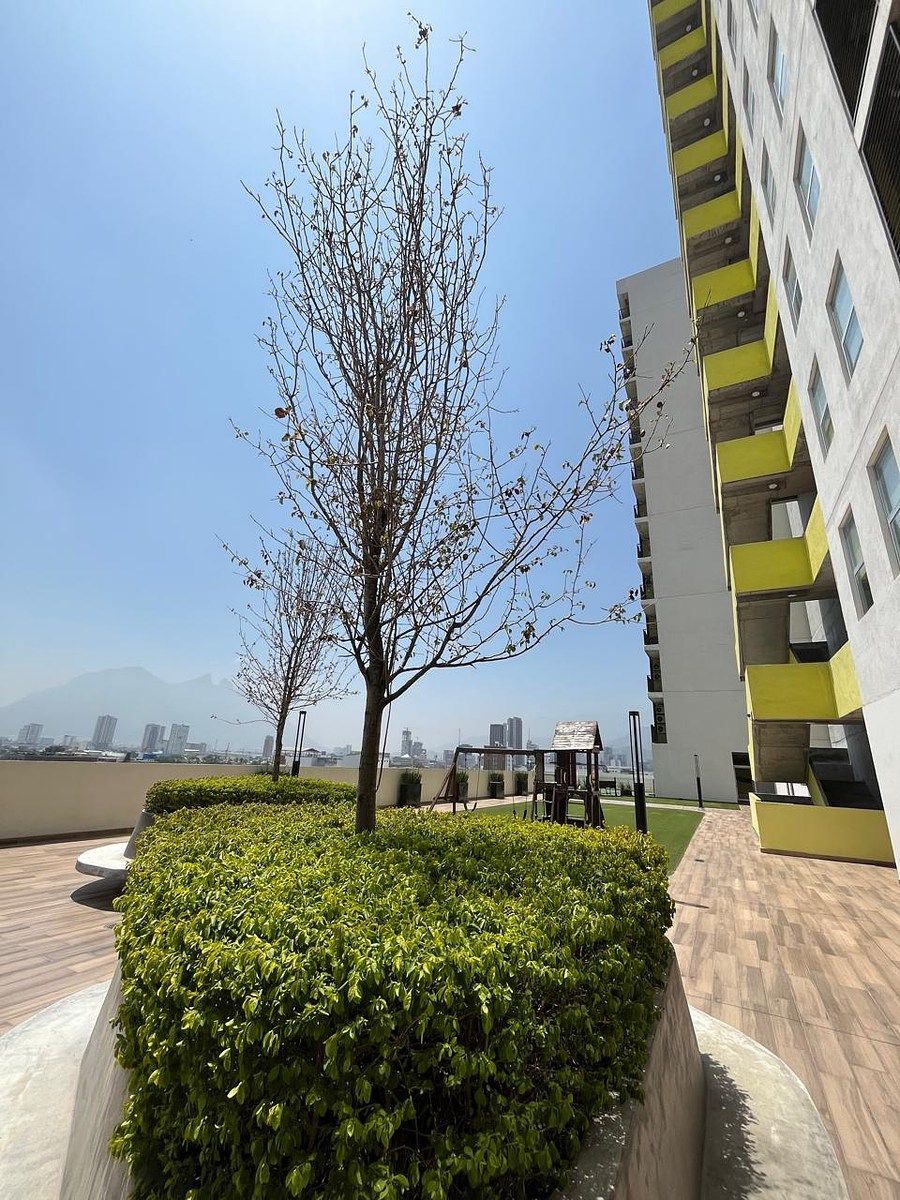 Apartment in Centro, Monterrey, photo 11 of 22