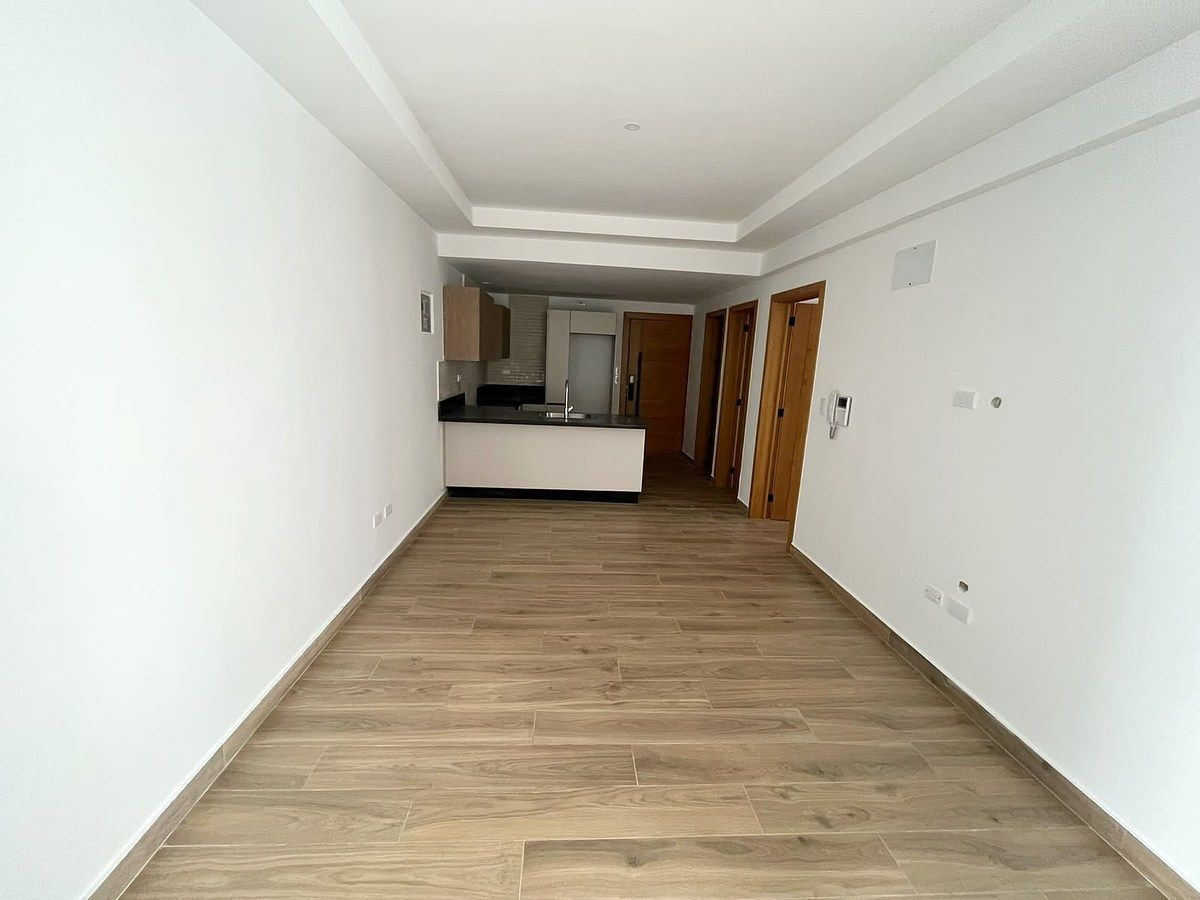 Apartamento en Renacimiento, Santo Domingo Centro (Distrito Nacional), foto 7 de 14