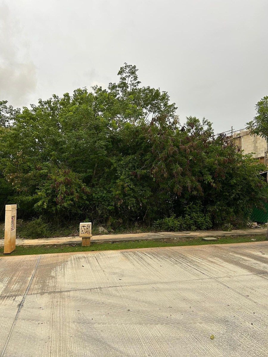 TERRENO EN VENTA EN MERIDA, YUCATAN EN YUCATAN COUNTRY CLUB, PRIV. CUTZAM - foto 1