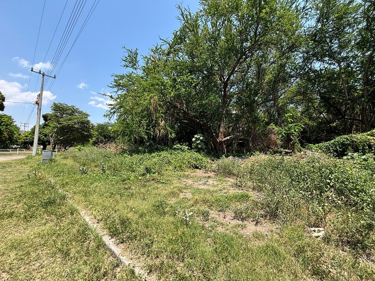 Lote em Guadalupe Victoria, Tlaltizapán de Zapata, foto 32 de 32