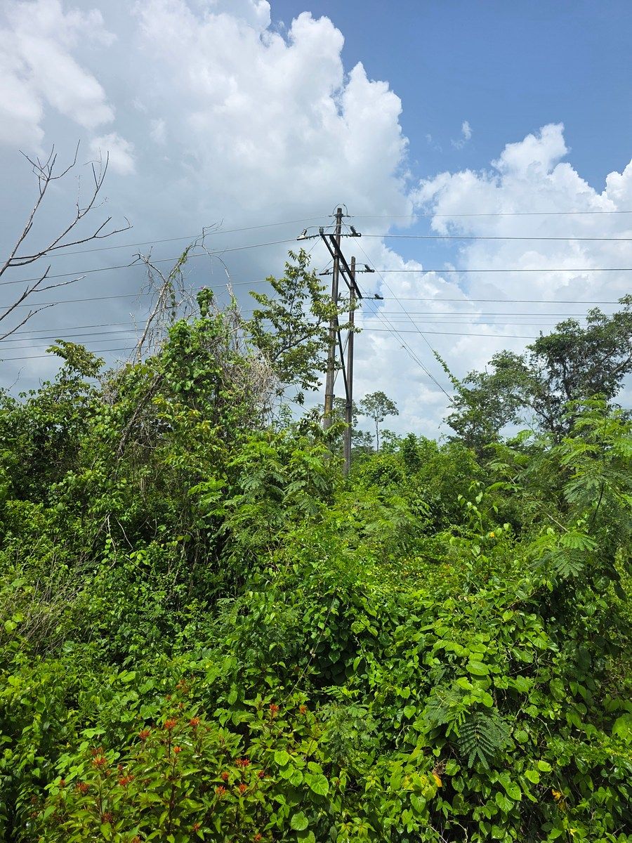 Lote em Borge Martín, Lázaro Cárdenas, foto 3 de 8