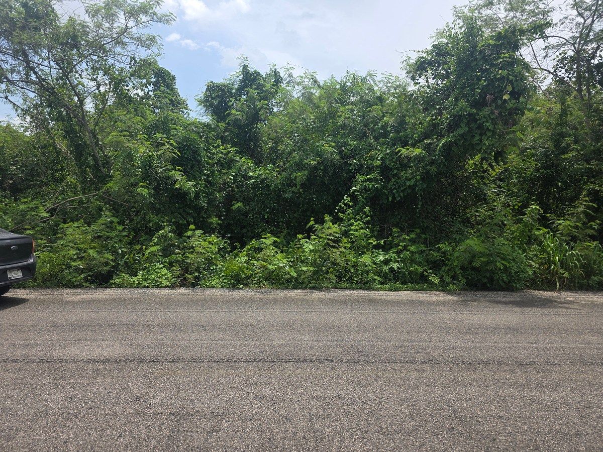 Lote em Borge Martín, Lázaro Cárdenas, foto 5 de 8