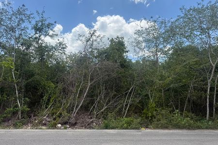 2.9 hectares of land at the roadside in El Cedral Quintana Roo