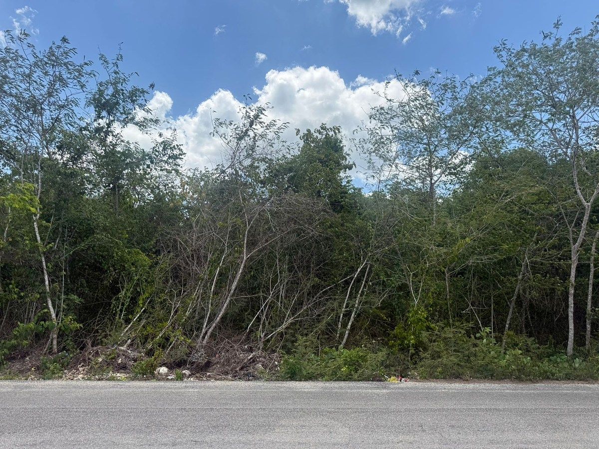 Lote em Borge Martín, Lázaro Cárdenas, foto 6 de 8