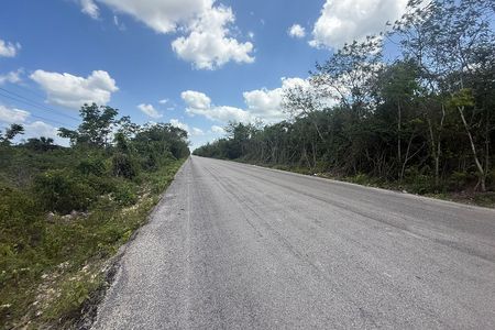 2.9 hectares of land at the roadside in El Cedral Quintana Roo