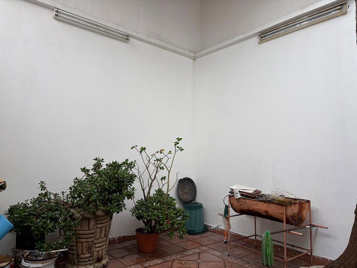 House with Commercial Use in Santa Teresita, Guadalajara, photo 7 of 14