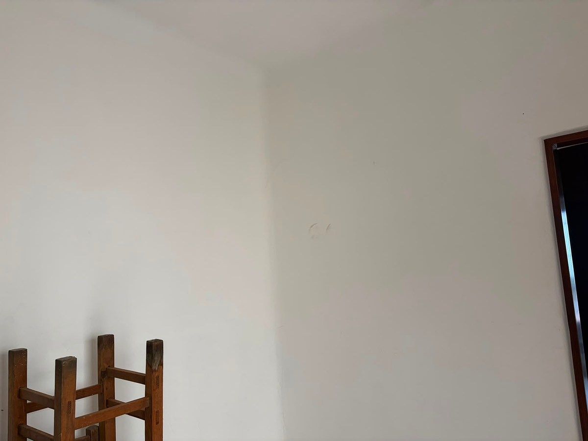 House with Commercial Use in Santa Teresita, Guadalajara, photo 8 of 14