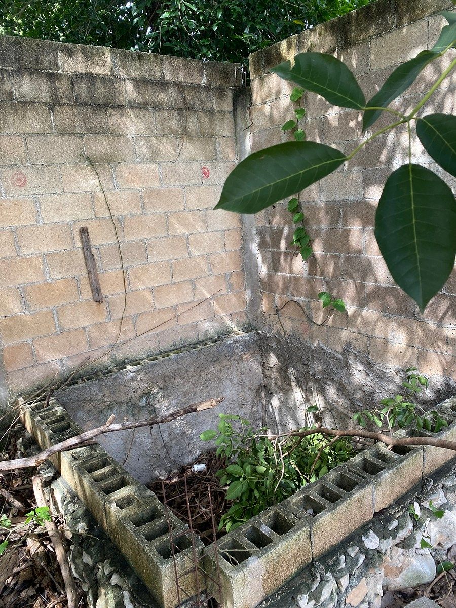 Lote em Sambula, Mérida, foto 7 de 8