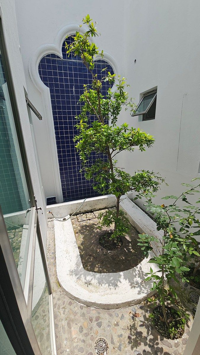 Casa en condominio en Jardín Real, Zapopan, foto 7 de 27
