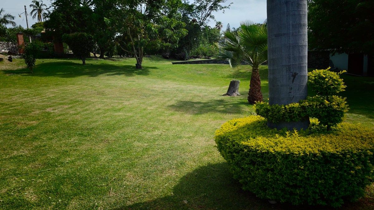 Terreno en Granjas Mérida, Temixco, foto 2 de 14