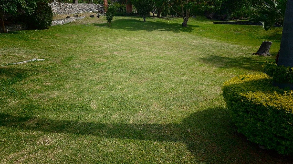 Terreno en Granjas Mérida, Temixco, foto 7 de 14