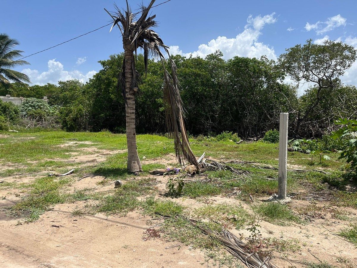 Terreno en Telchac Puerto, Telchac Puerto, foto 6 de 17