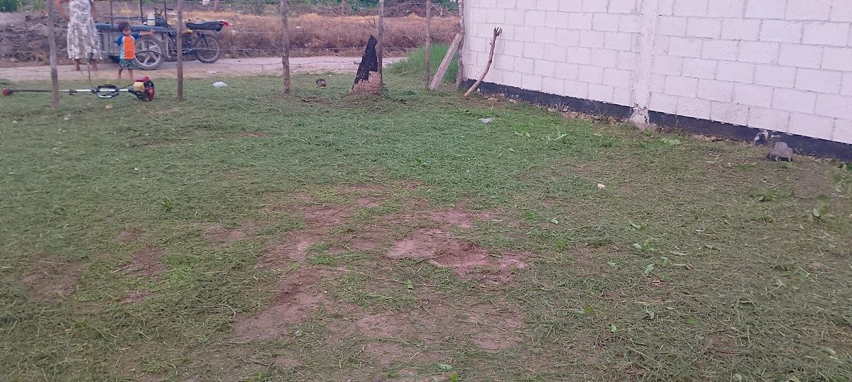 Terreno en Telchac Puerto, Telchac Puerto, foto 14 de 17
