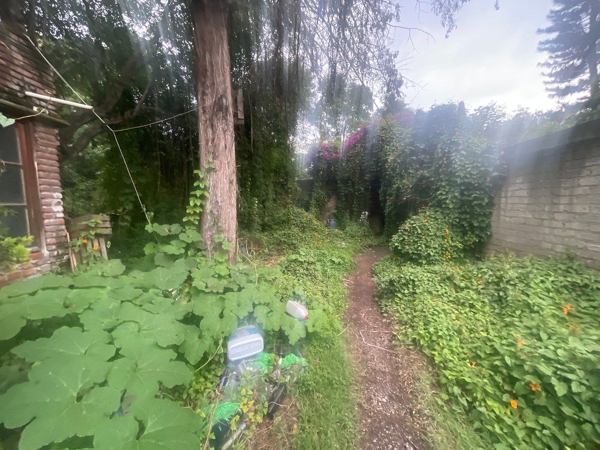 Terreno en Venta en Campestre Tips Inmobiliarios ®, foto 7 de 8