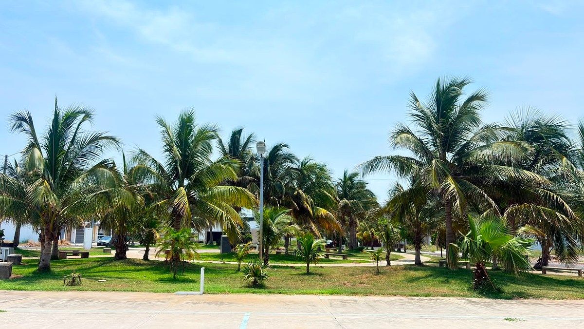 Casa en Costa de Oro, Boca del Río, foto 42 de 50
