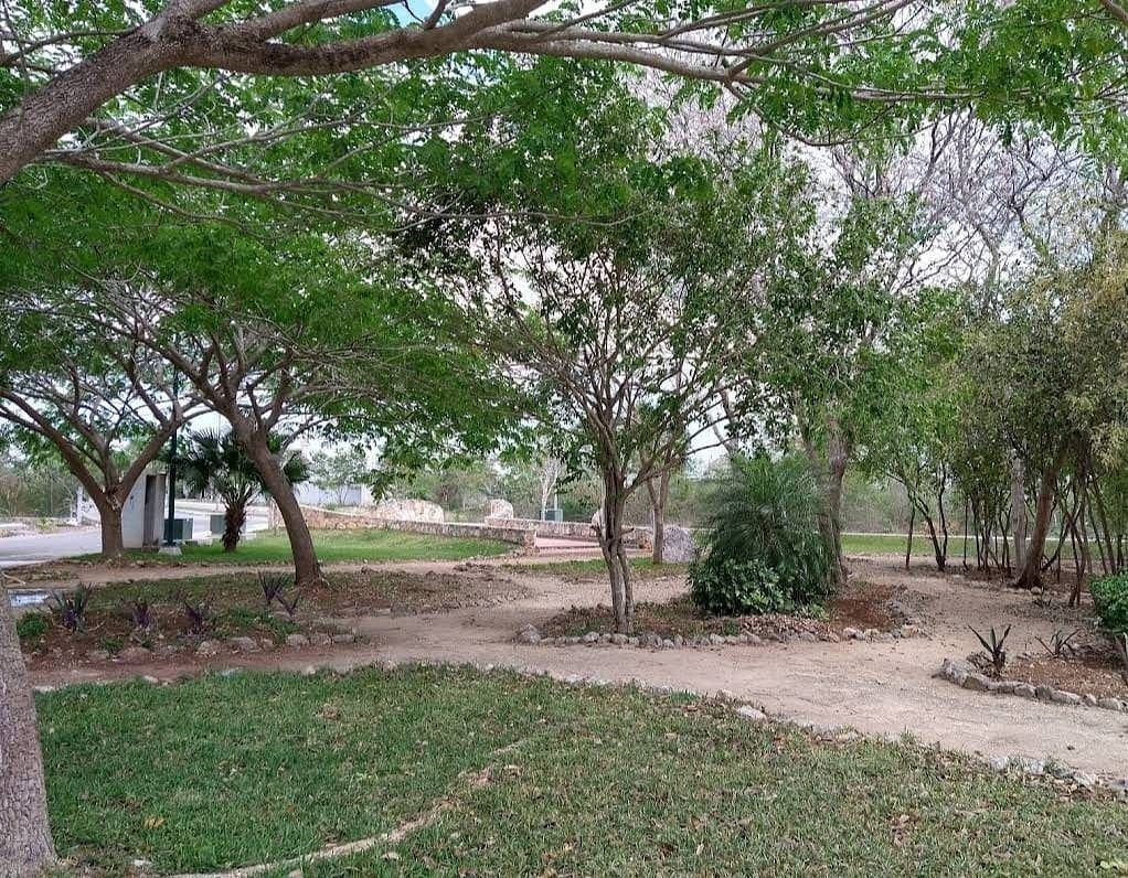 Terreno en Conkal, Conkal, foto 6 de 8