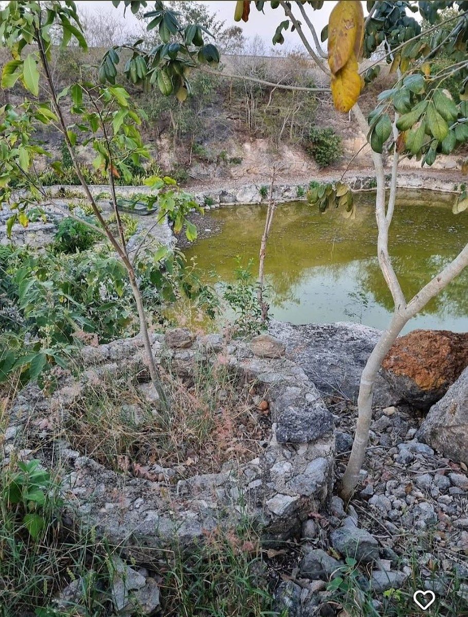Terreno en Conkal, Conkal, foto 5 de 8