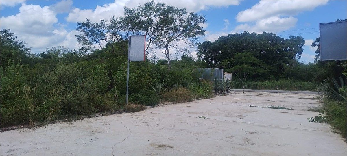 Lote em Santa Clara, Dzidzantún, foto 3 de 23