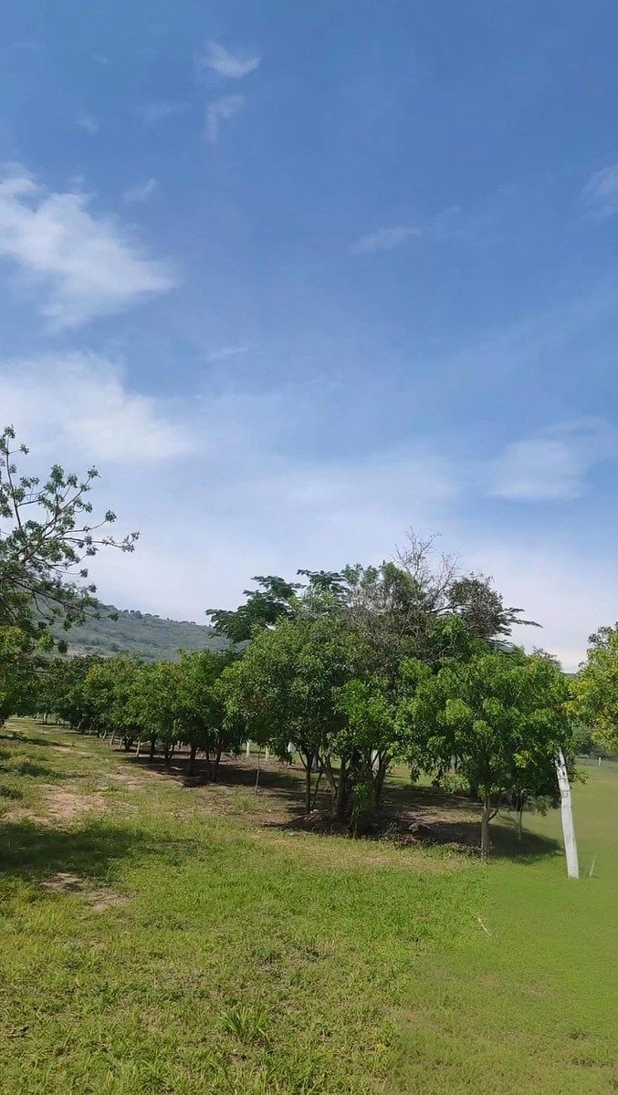 Terreno en San Ramón, Ocozocoautla de Espinosa, foto 12 de 13