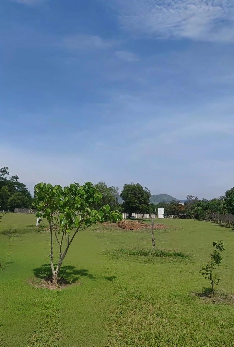 Terreno en San Ramón, Ocozocoautla de Espinosa, foto 8 de 13