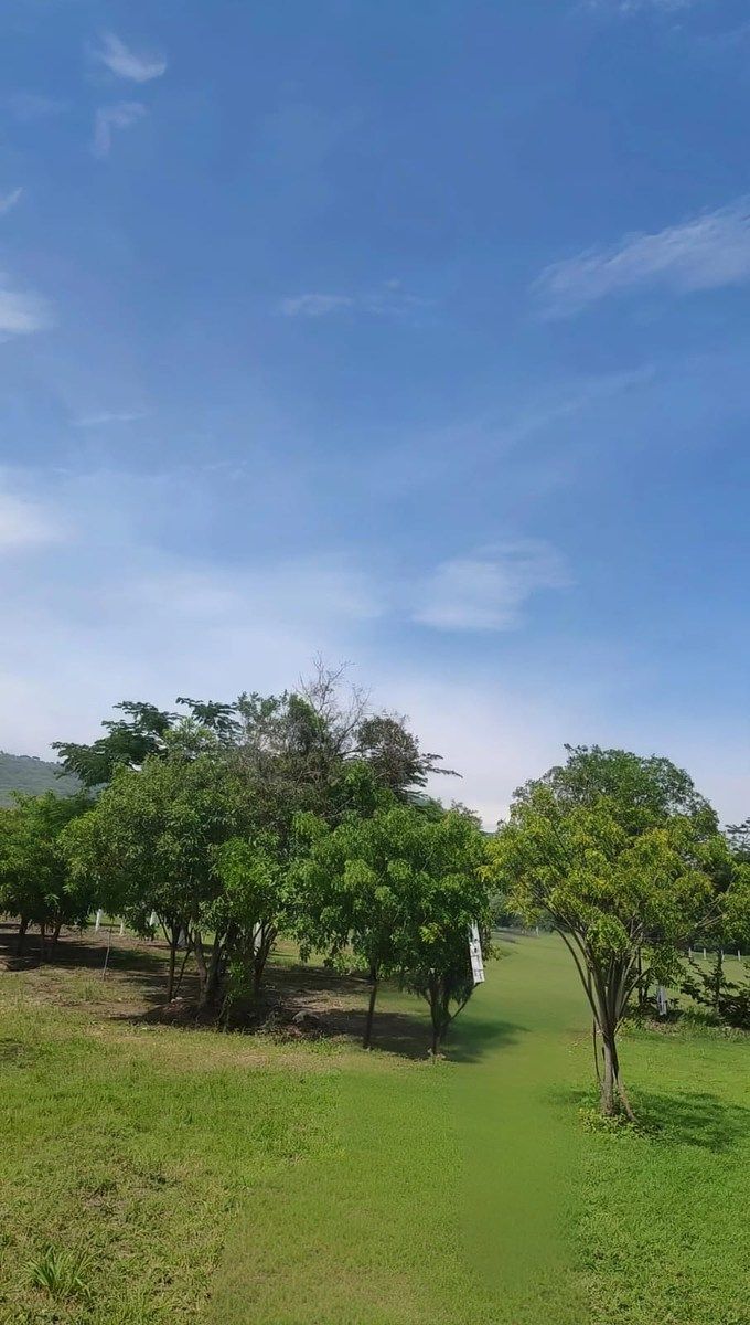 Terreno en San Ramón, Ocozocoautla de Espinosa, foto 13 de 13