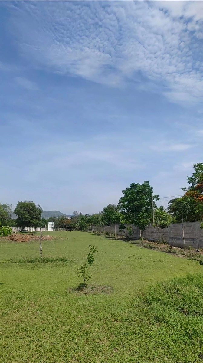Terreno en San Ramón, Ocozocoautla de Espinosa, foto 7 de 13