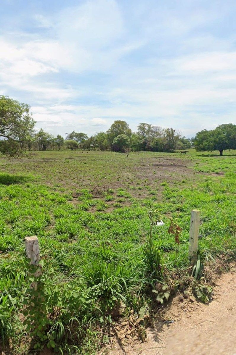 Terreno en San Ramón, Ocozocoautla de Espinosa, foto 9 de 13