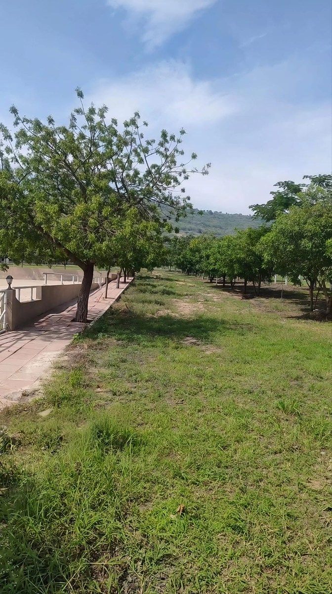 Terreno en San Ramón, Ocozocoautla de Espinosa, foto 10 de 13