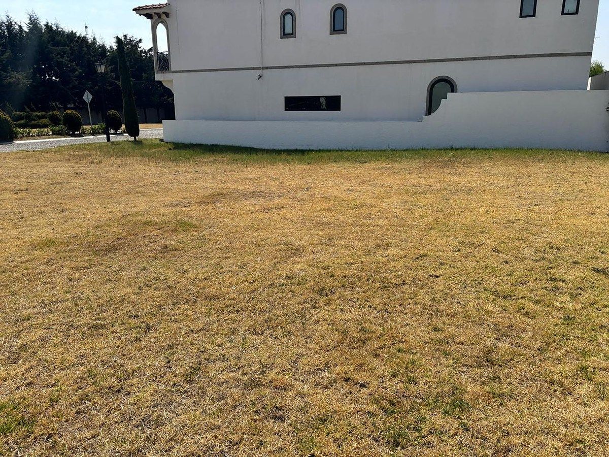 Lot in El Mesón, Calimaya, photo 2 of 7