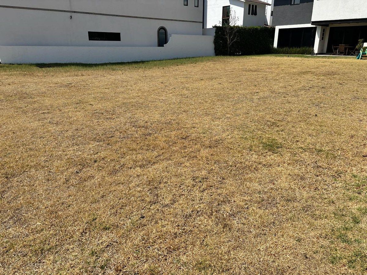 Lot in El Mesón, Calimaya, photo 6 of 7