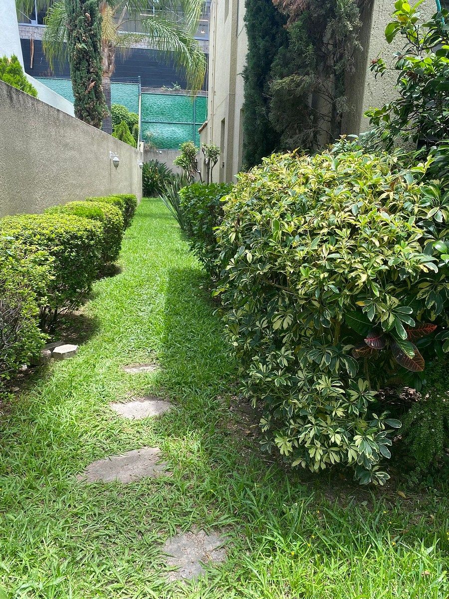 Casa en condominio en Colomos Patria, Zapopan, foto 5 de 20