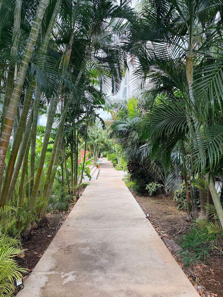 Departamento en Temozón Norte, Mérida, foto 42 de 44