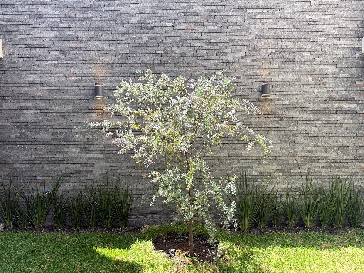 Casa em El Marqués Queretano, Querétaro, foto 9 de 37