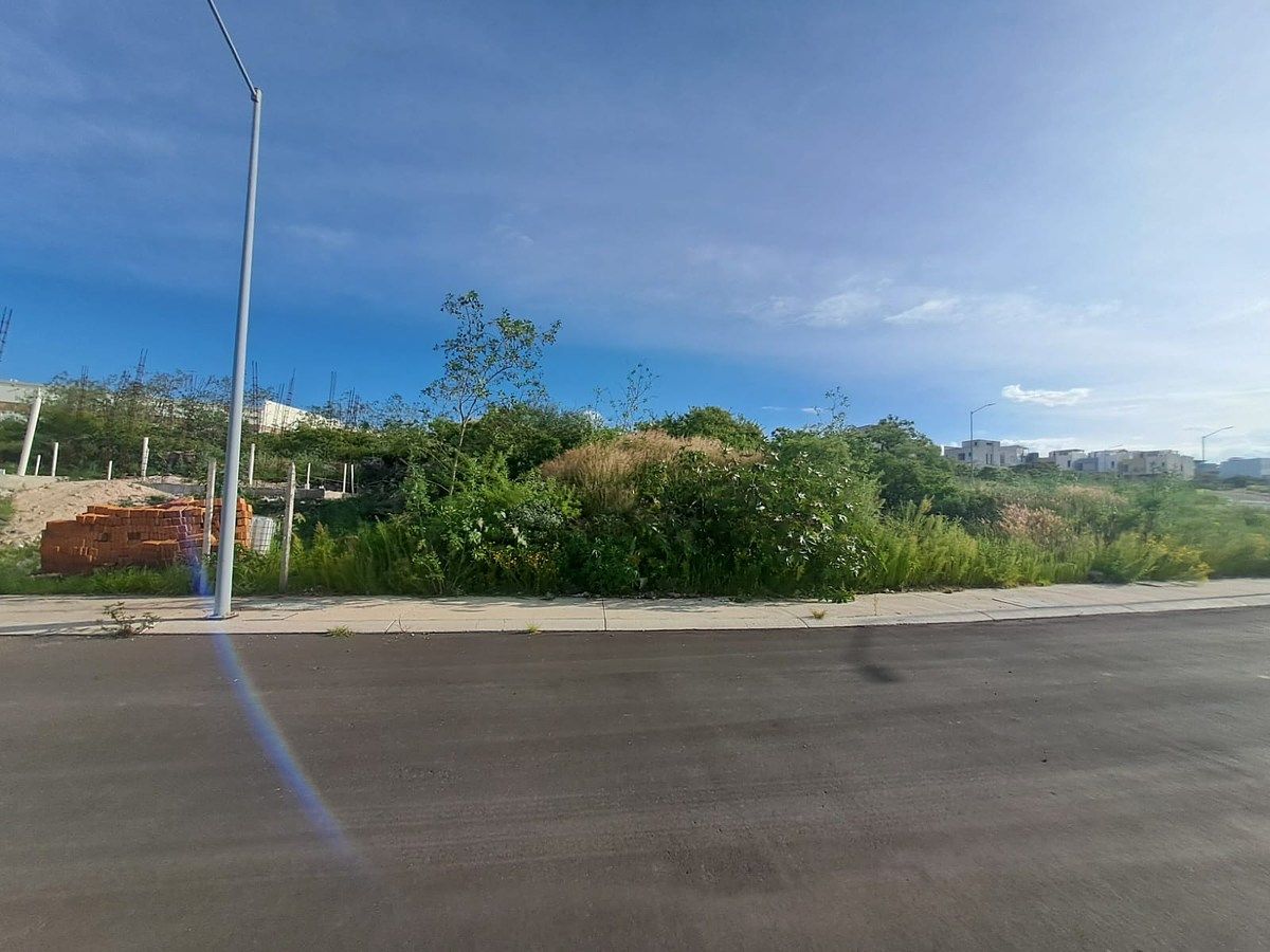 lote 181, foto 3 de 23