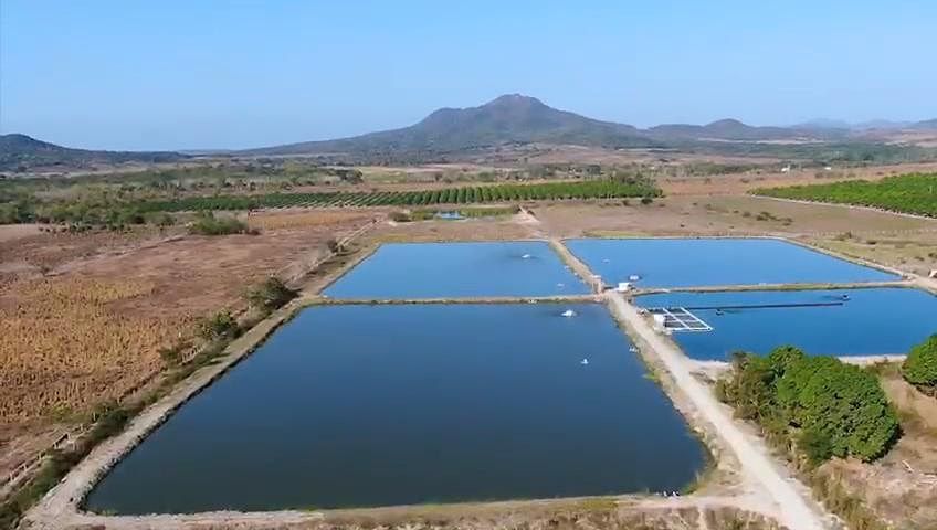 Rancho Agrícola e Aquícola de 47 Hectares à Venda em Tomatlán, foto 1 de 14