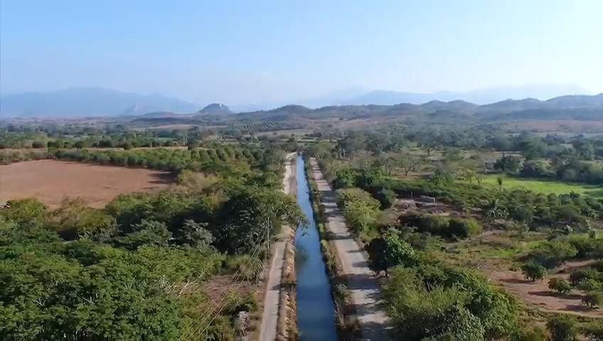 Pomar em Centro Tomatlán, Tomatlán, foto 11 de 14