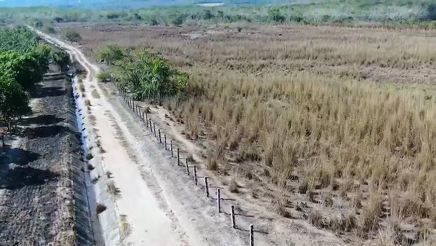 Pomar em Centro Tomatlán, Tomatlán, foto 12 de 14
