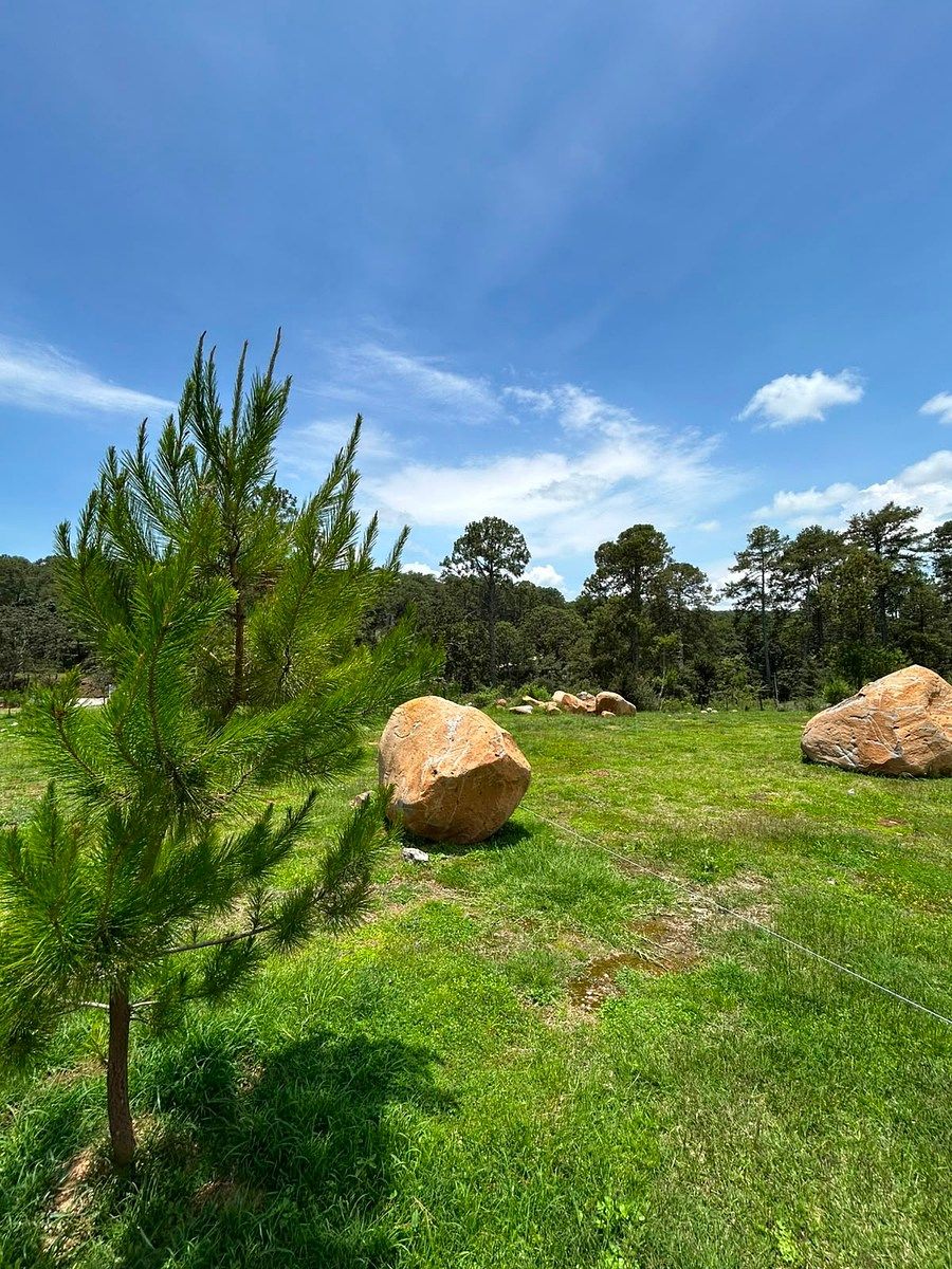 Lote em Tapalpa, Tapalpa, foto 4 de 8