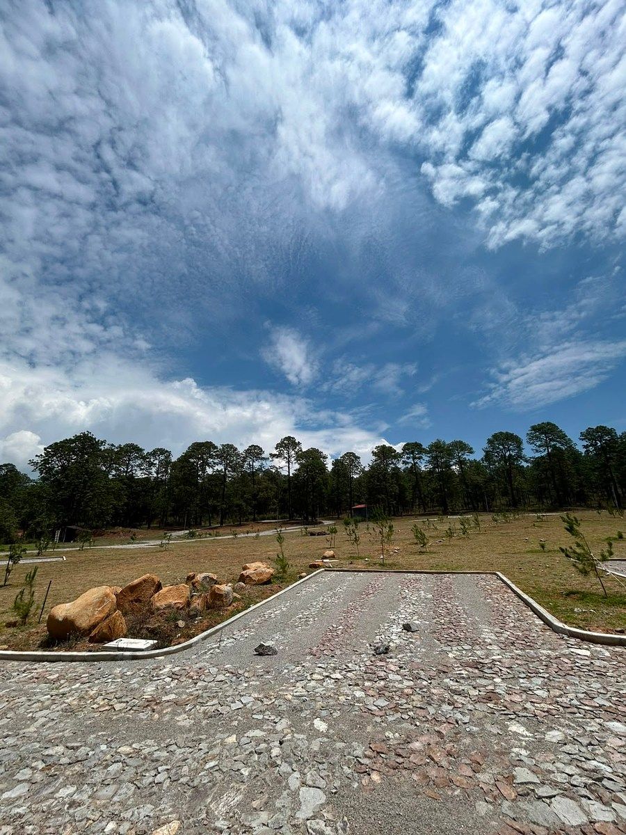 Lote em Tapalpa, Tapalpa, foto 5 de 8