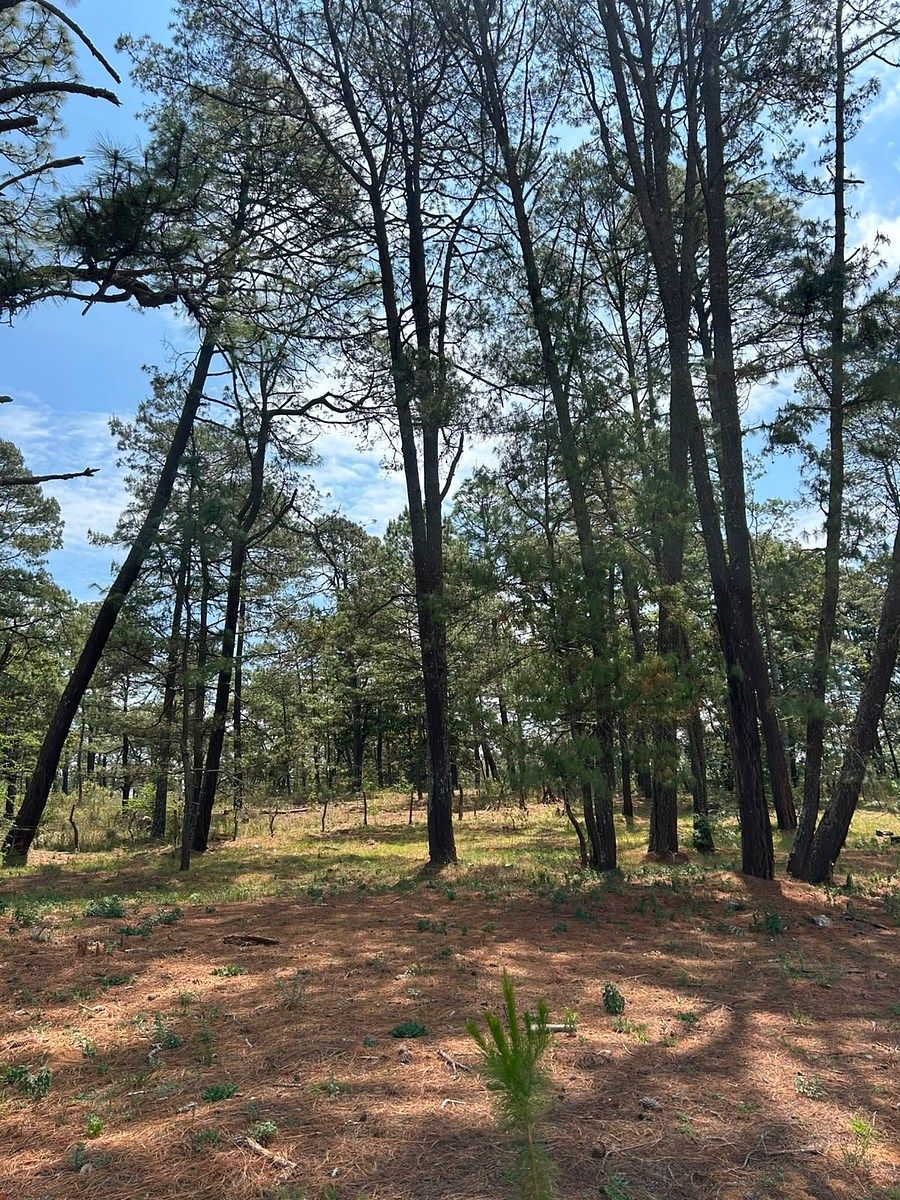 Lote em Tapalpa, Tapalpa, foto 7 de 8
