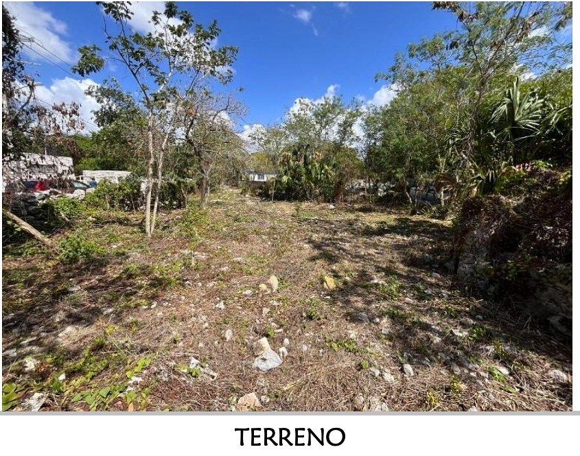 Terreno en Del Norte, Mérida, foto 5 de 8