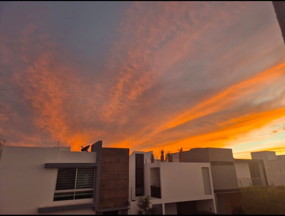 Solares Residence roof top, photo 1 of 26